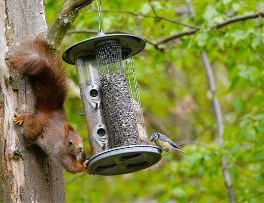 Freundschaften schließen