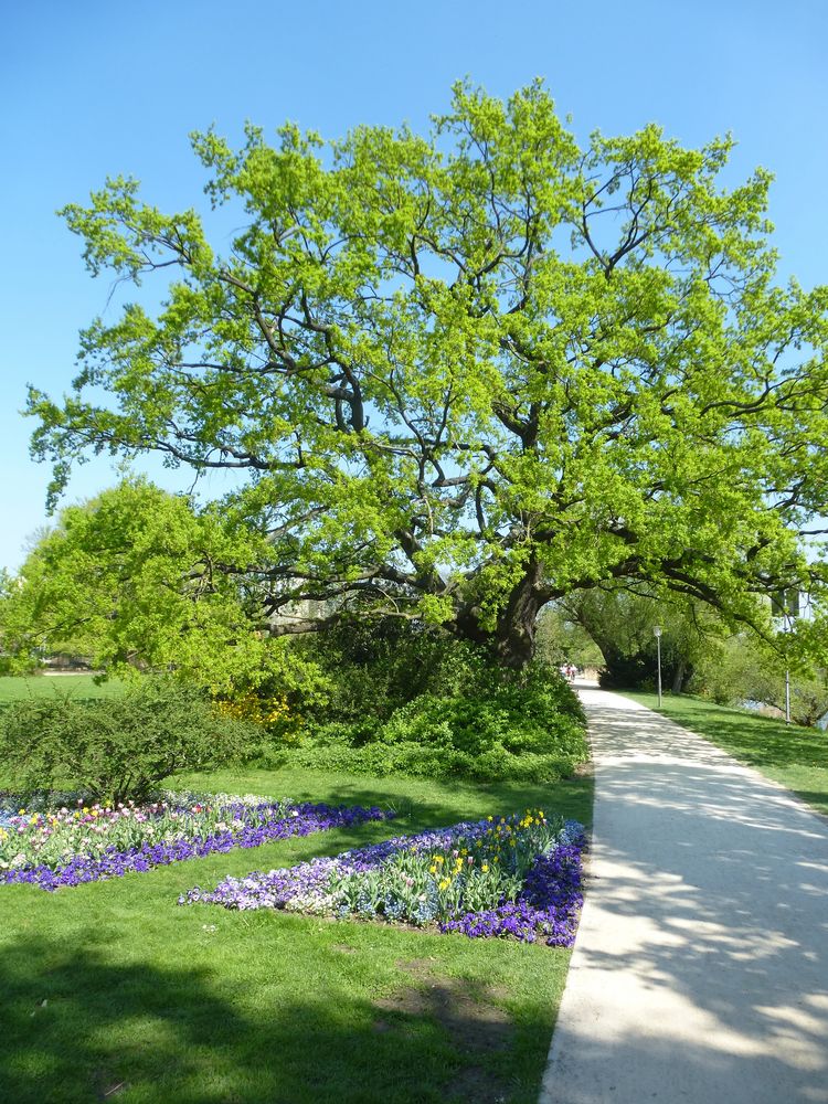 Freundschaftsinsel Potsdam