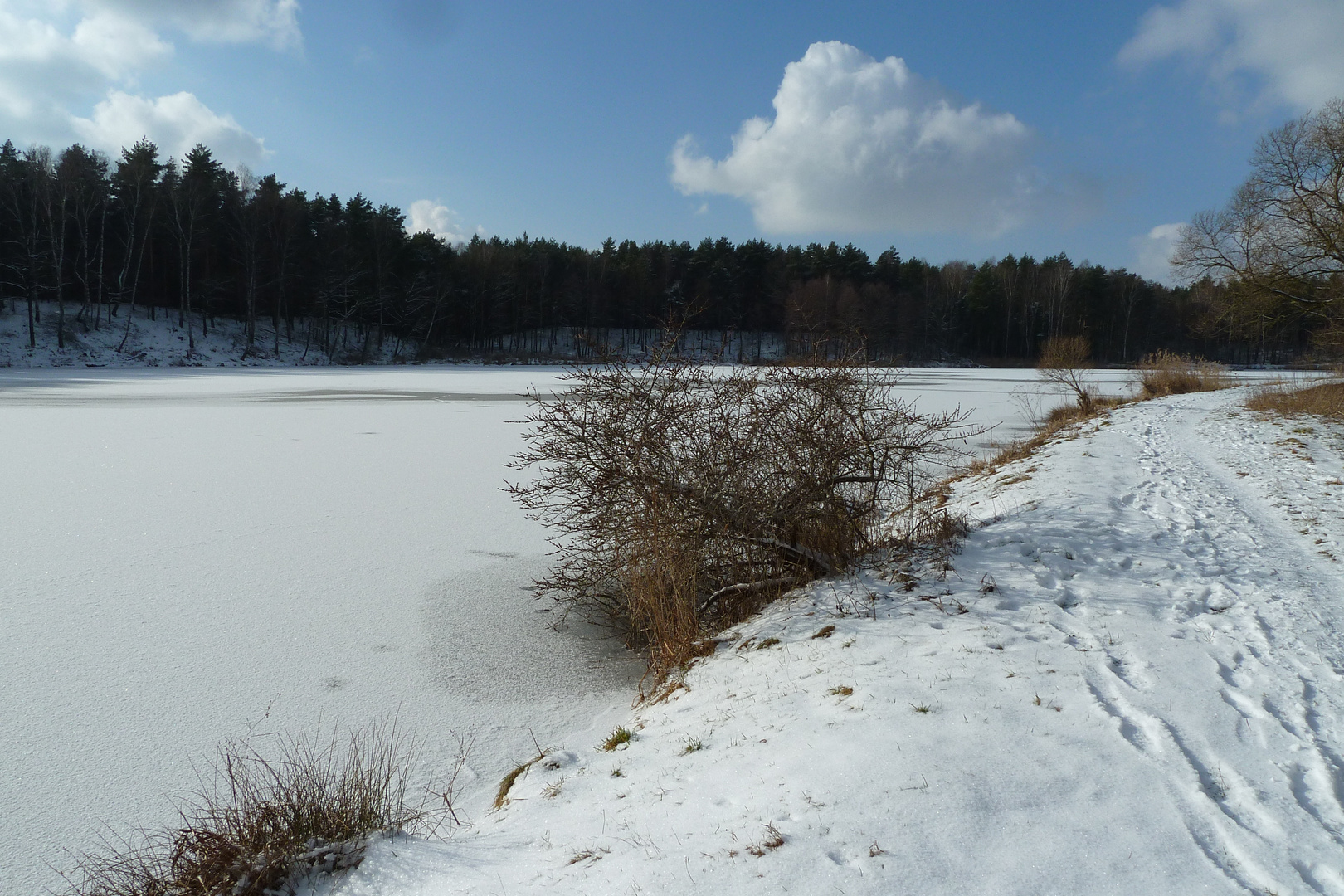 Freundschaftssee Königsbrück