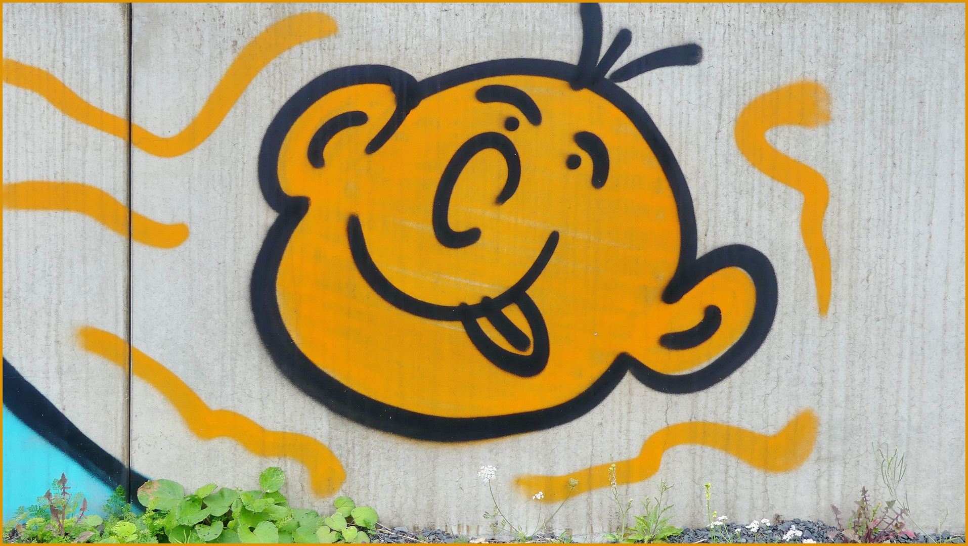 Freut euch des Lebens  --   Grafitti Innenhafen Duisburg