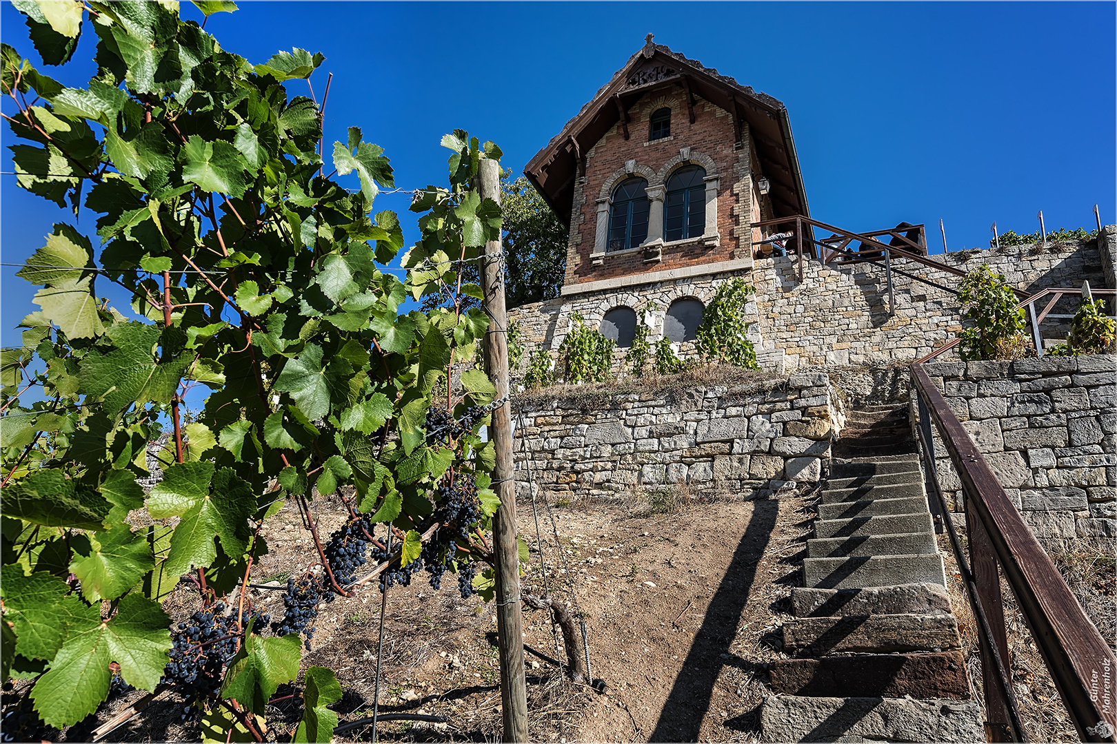 Freyburg, Ein Weinberghaus