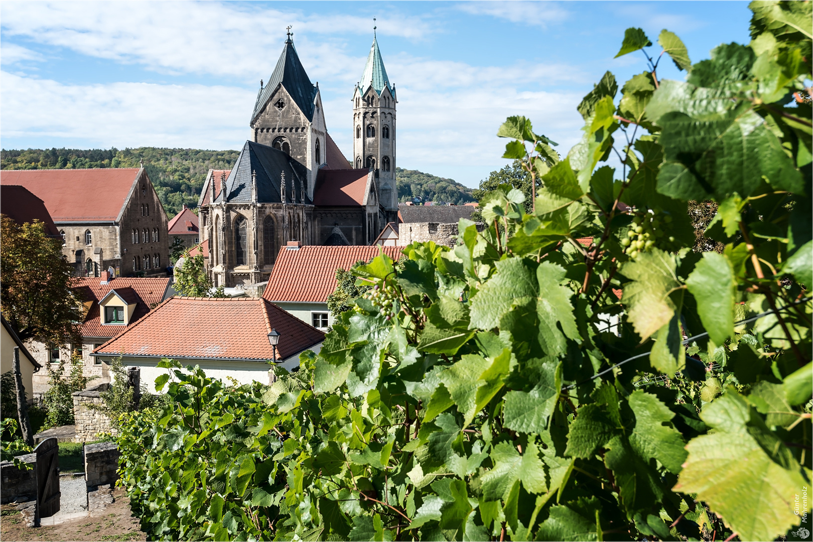 Freyburg, Kirche und Weinreben