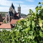 Freyburg, Kirche und Weinreben