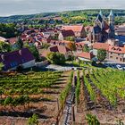 Freyburg (Unstrut), Blick auf Ort und St. Marien