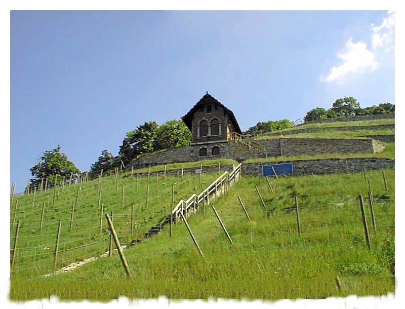 Freyburg / Unstruth;Blick auf einen Weinberg mit altem Winzerhaus.