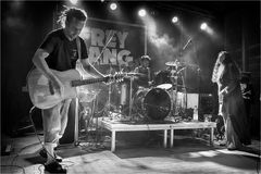 freygangband