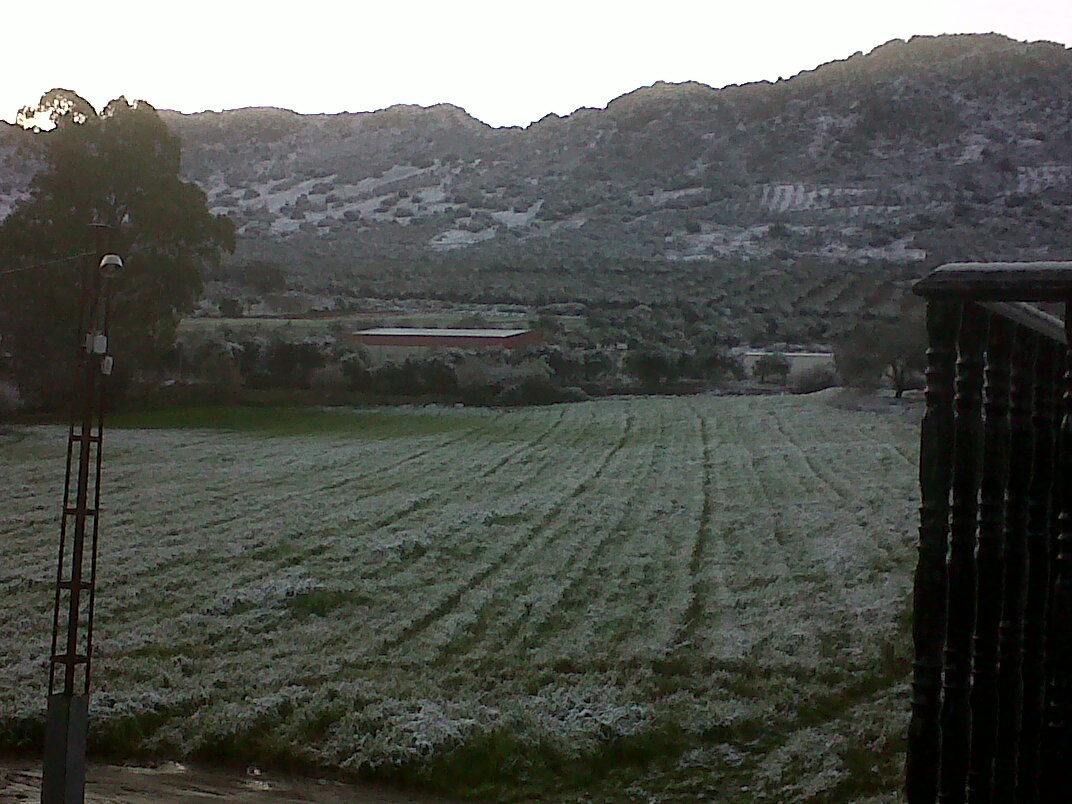 FRIA MAÑANA DE ENERO