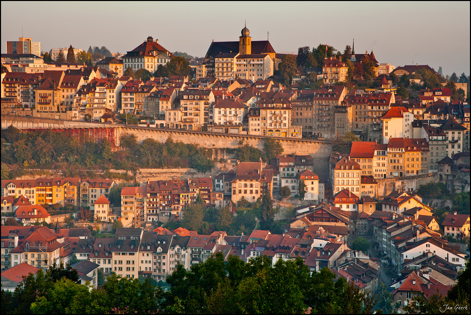 Fribourg Skyline