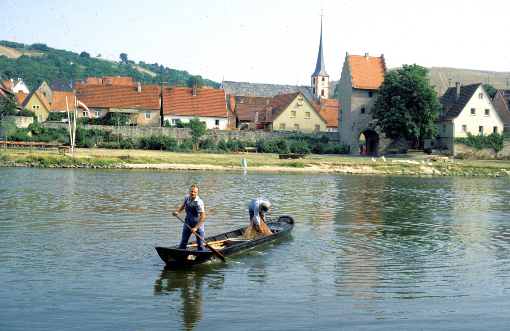 Frickenhausen am Main - Fischer bei der Arbeit