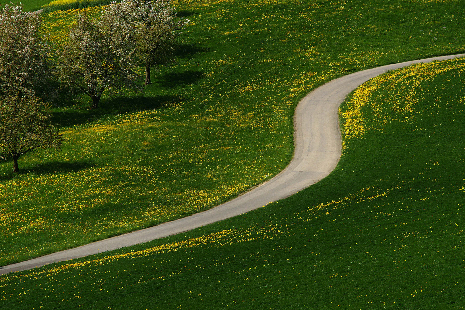 Fricktaler Kirschenweg 2