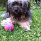 Frida mit Ball