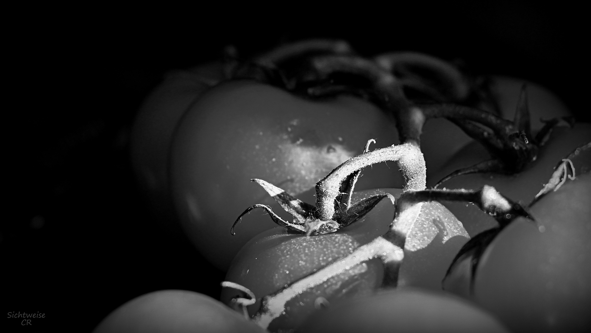 Friday black and white - tomatoes