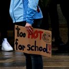 "Friday for future" Demo Wiesbaden