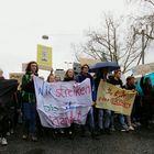 "Friday for future" Demo Wiesbaden