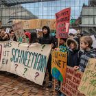 Fridays For Future (1)