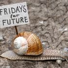 Fridays for Future