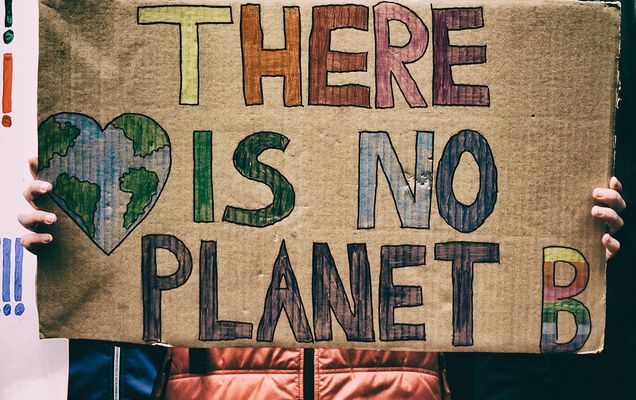 fridays for future
