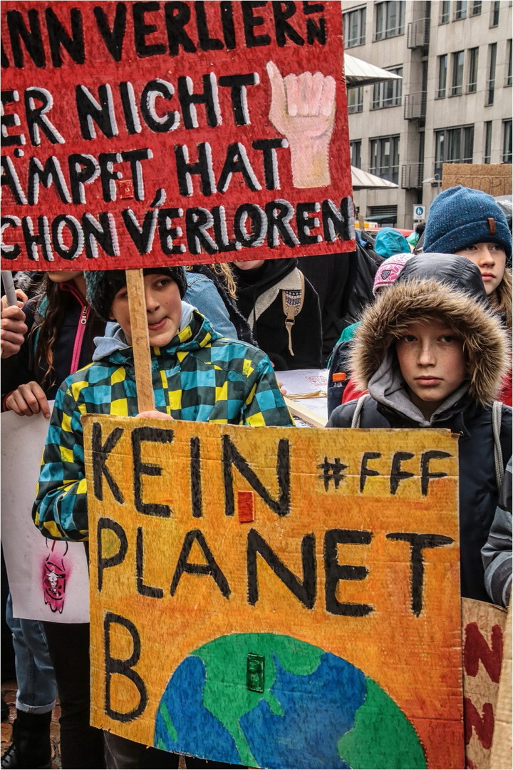 Fridays For Future (4)