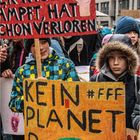 Fridays For Future (4)