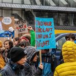 Fridays For Future (8)