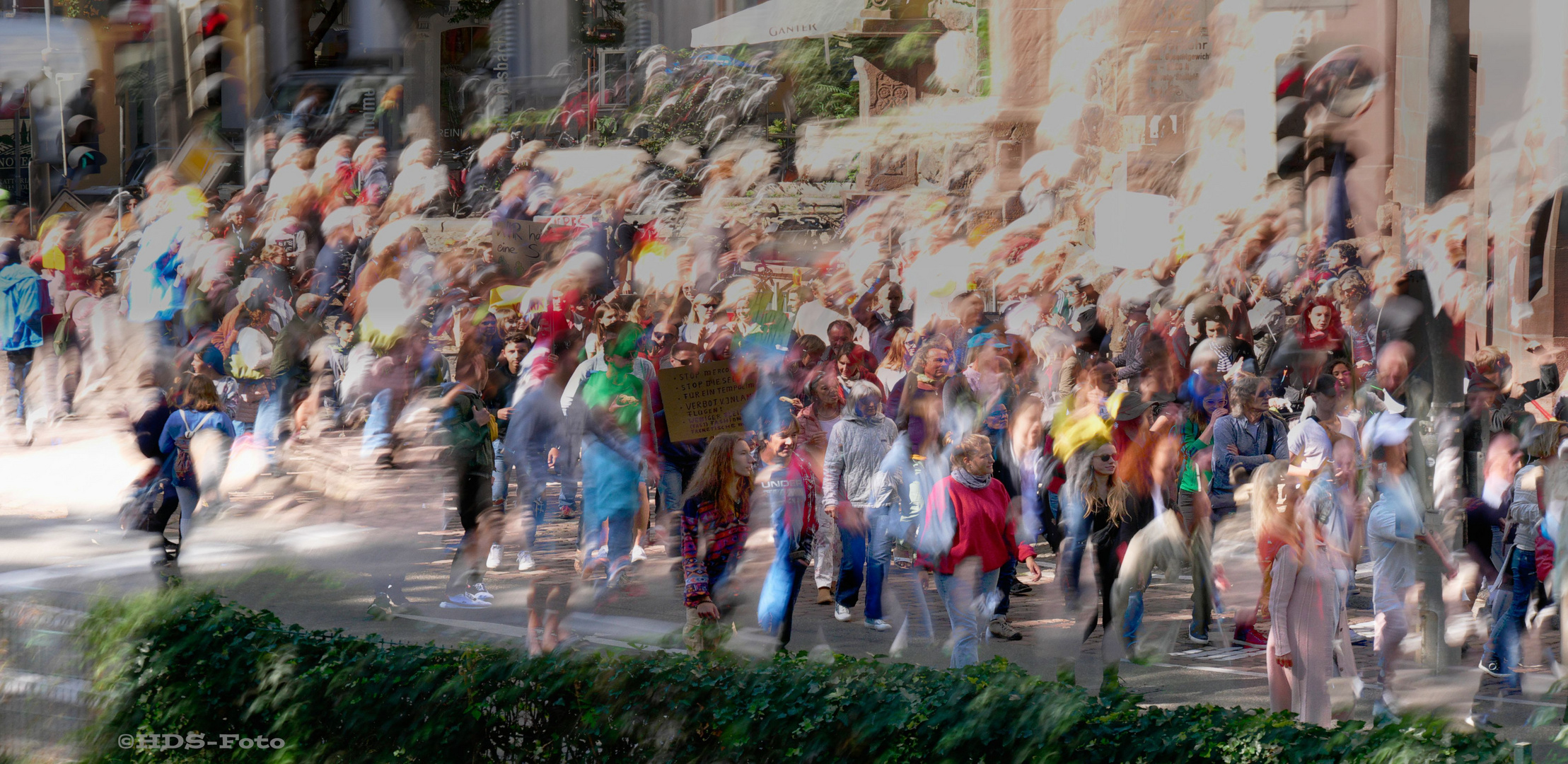 fridays for future jn Freiburg