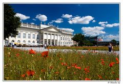 Fridericianum