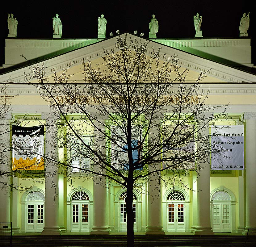 Fridericianum und Baum