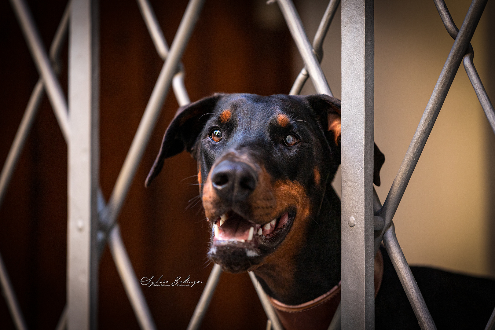 Frieda beim Fotowalk