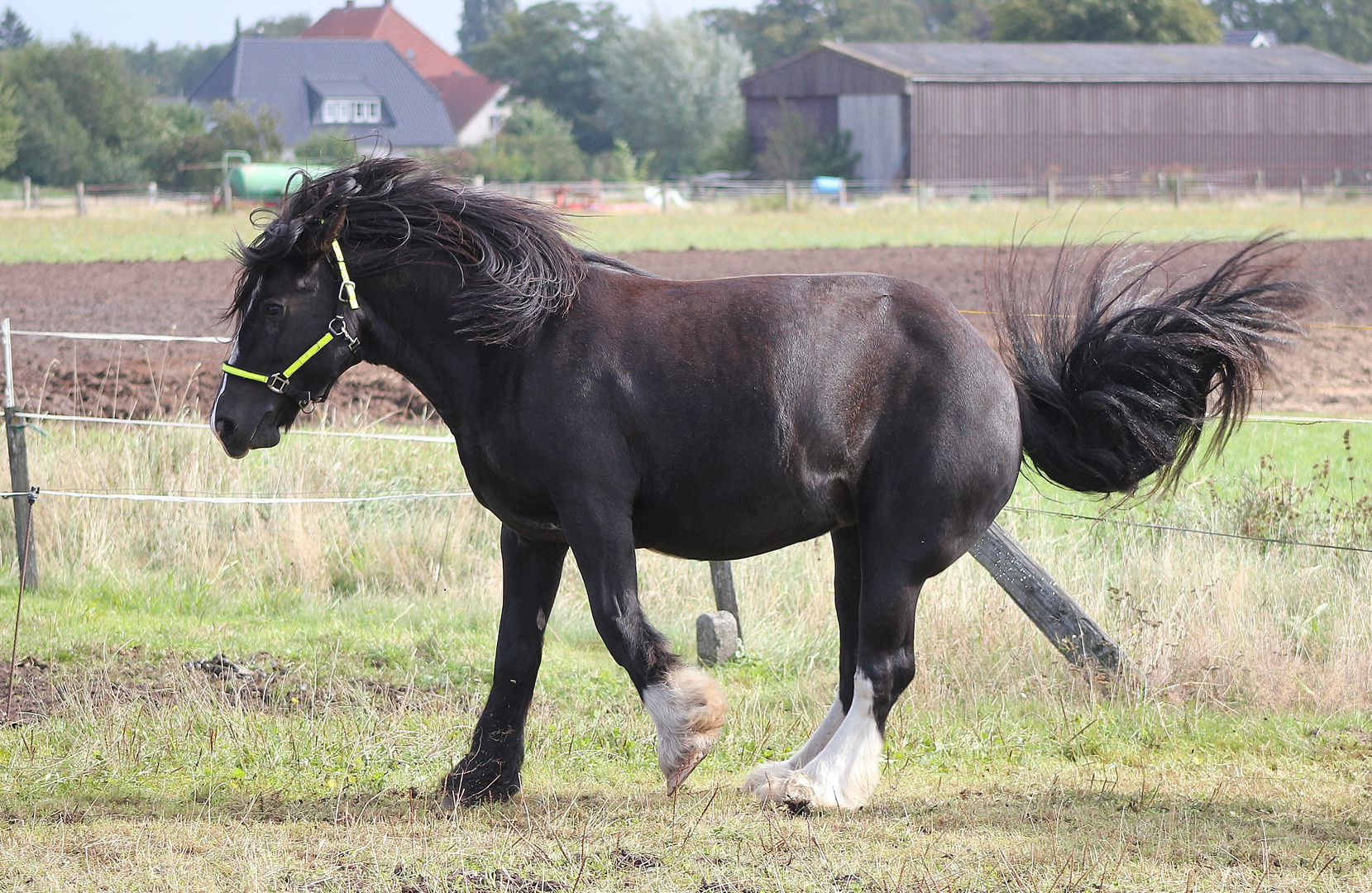 Frieda schwingt das Tanzbein