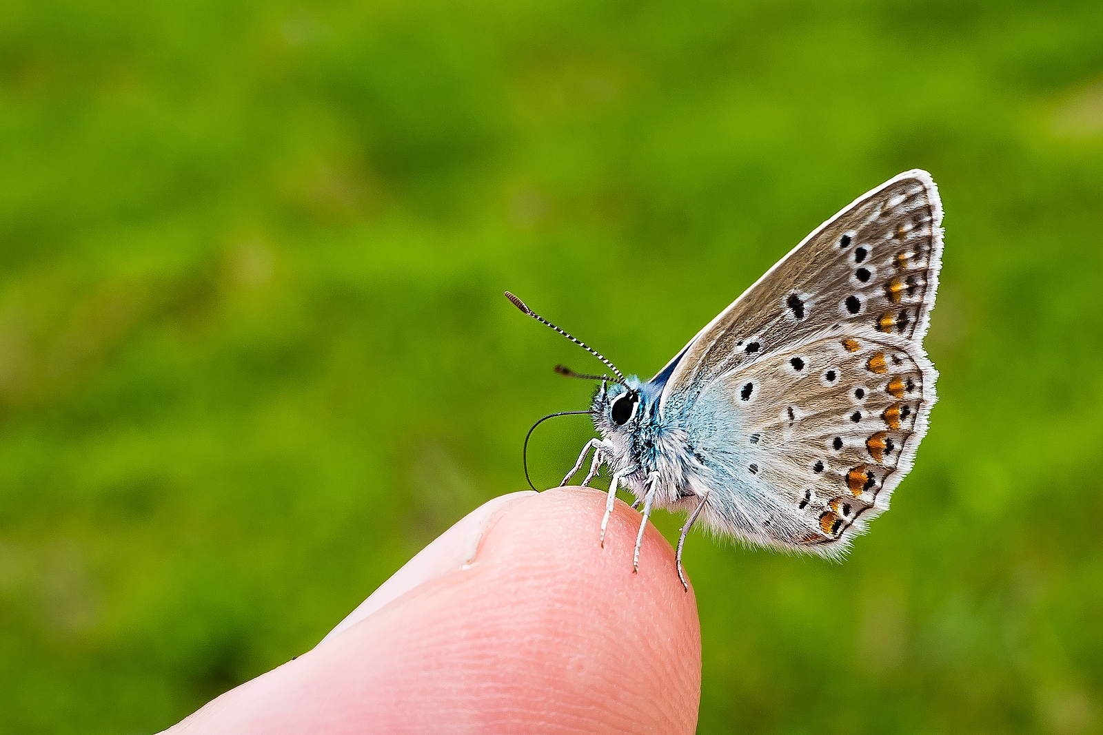 Friede, Freude und Freunde in der Natur