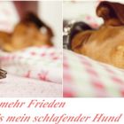 Frieden