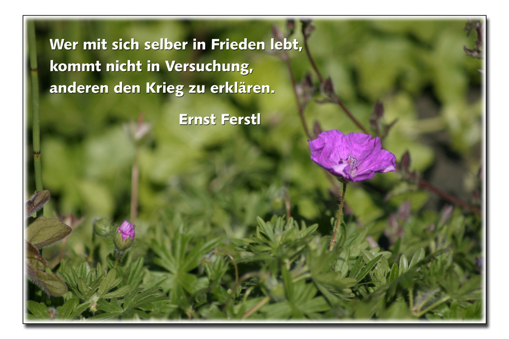 Frieden ...