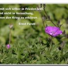 Frieden ...