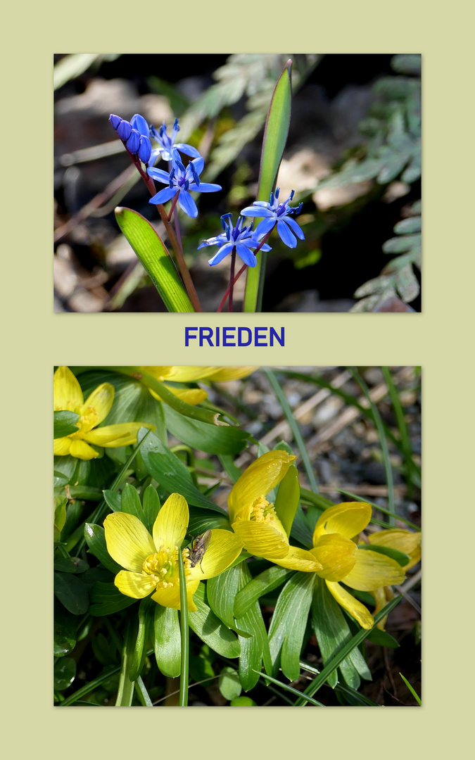 Frieden