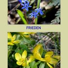 Frieden