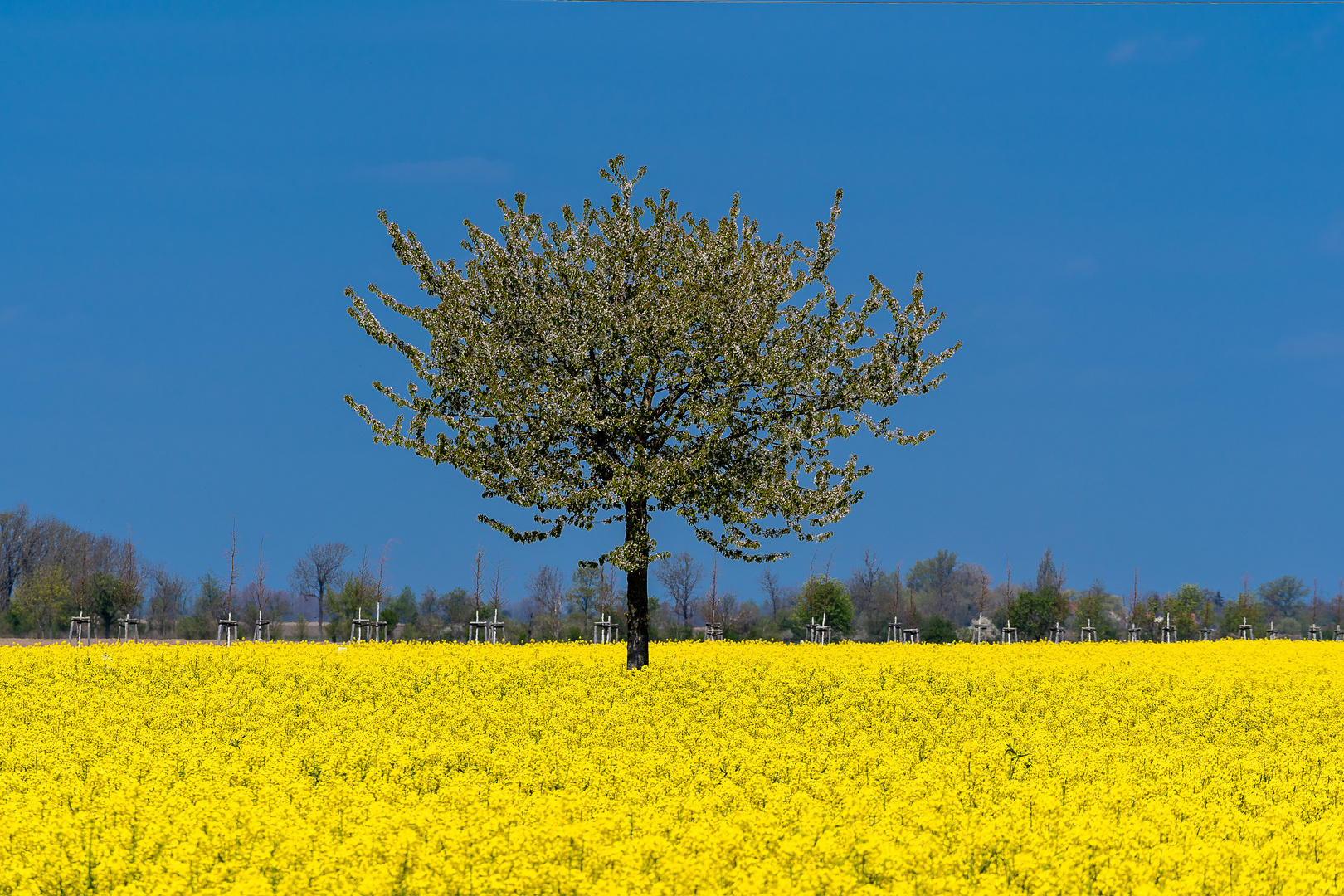 Frieden in der Ukraine