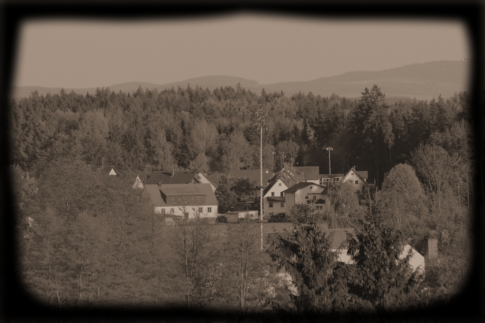 Friedenfelser Maibaum