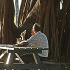 frieden...port douglas, queensland, australien