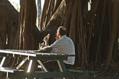 frieden...port douglas, queensland, australien