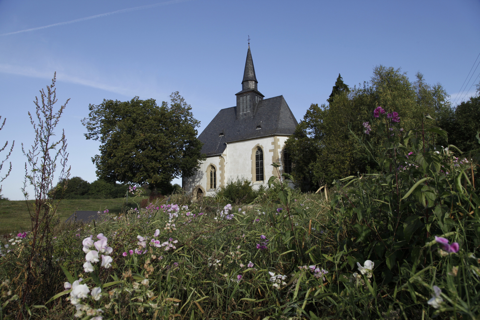 Friedensdividende