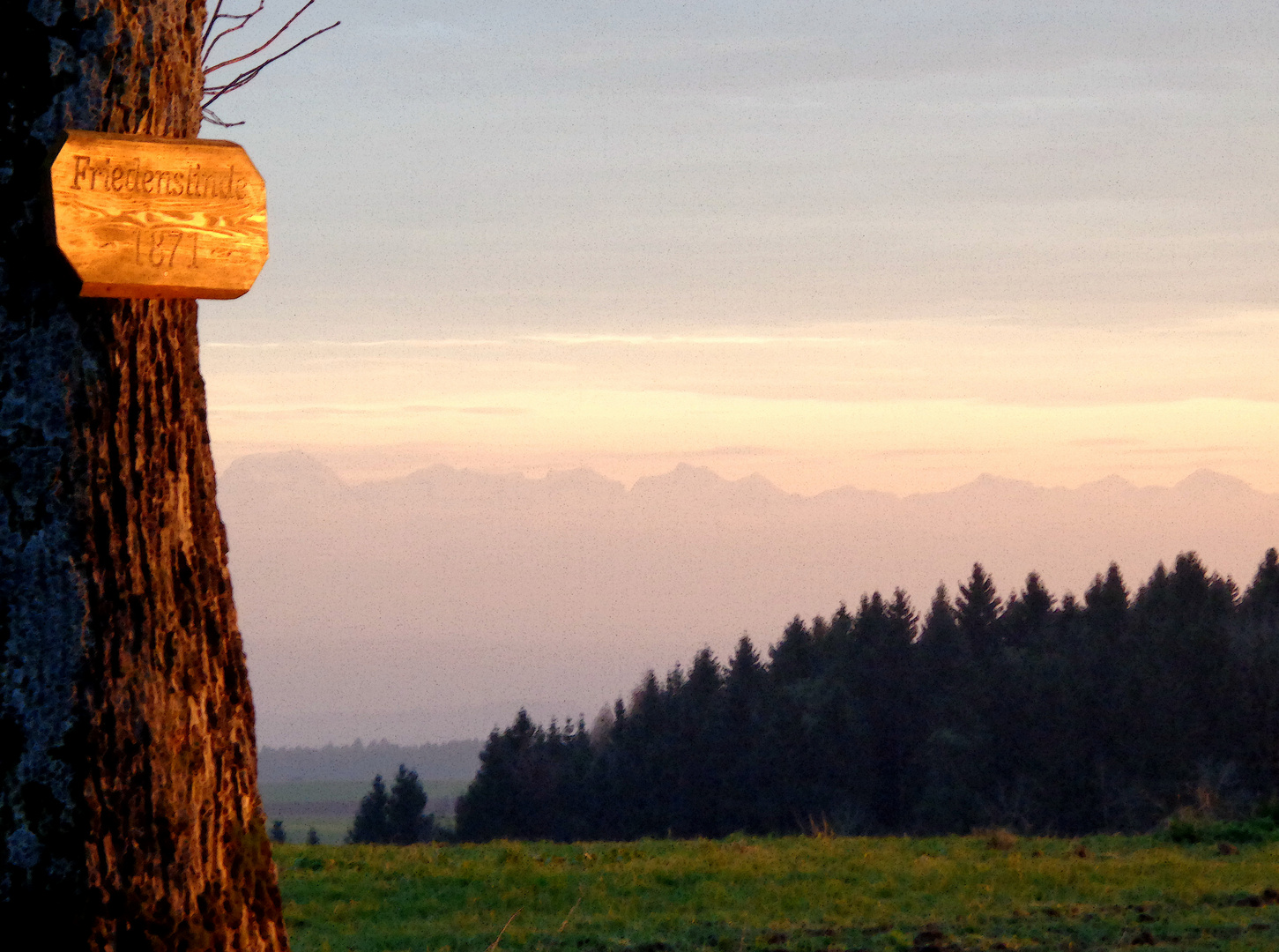 Friedenslinde 1871 mit Blick auf die Alpen