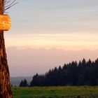 Friedenslinde 1871 mit Blick auf die Alpen