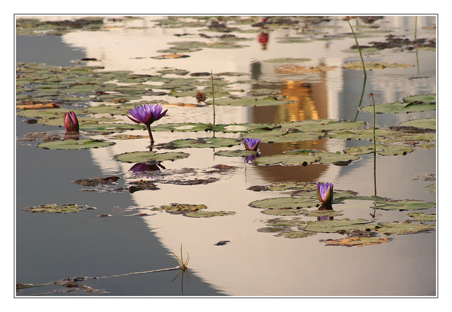 Friedenspagode in Lumbini