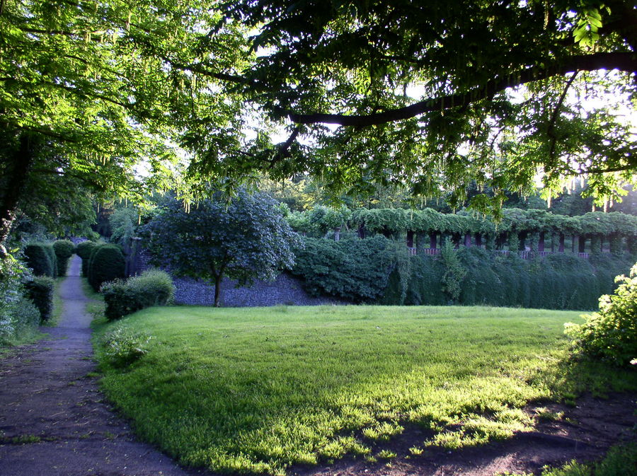 Friedenspark in Köln, vom Rhein aus