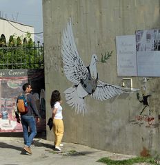 Friedenstaube mit beschusshemmender  Weste