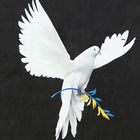 Friedenstaube - peace dove, pomba da paz, paloma de la paz, colombe de la paix