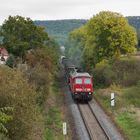 Friedenstauben unterwegs