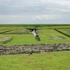 Friederichskoog