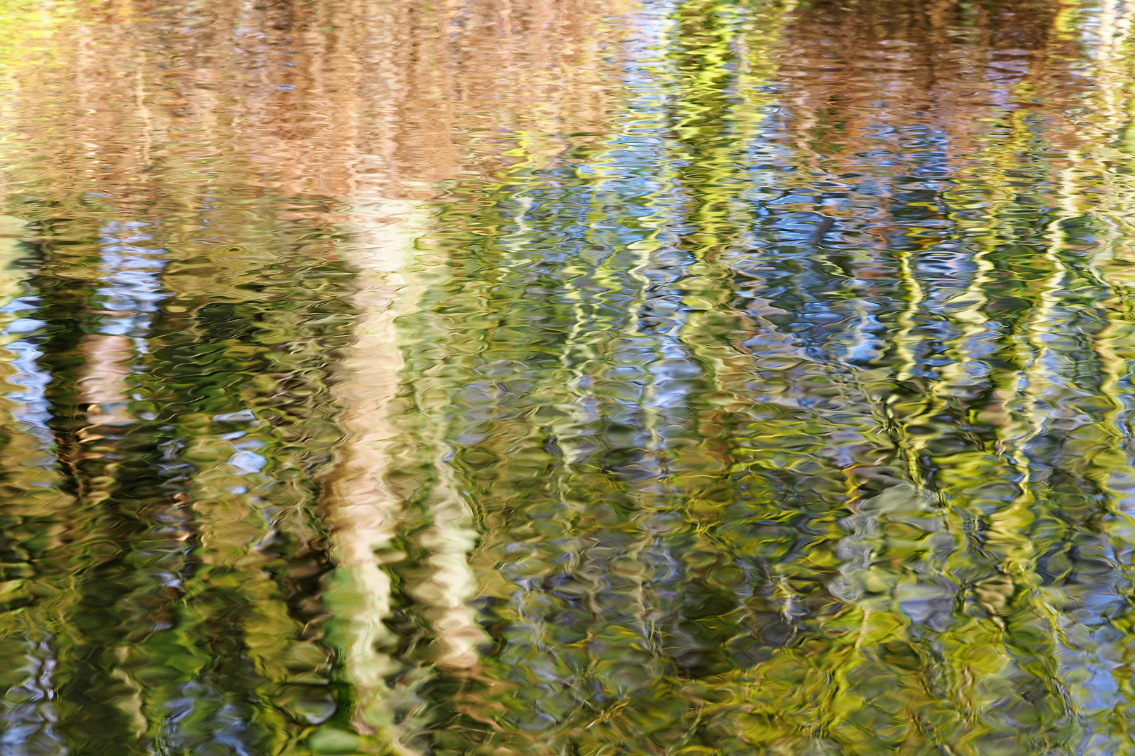 Friederike auf dem Wasser