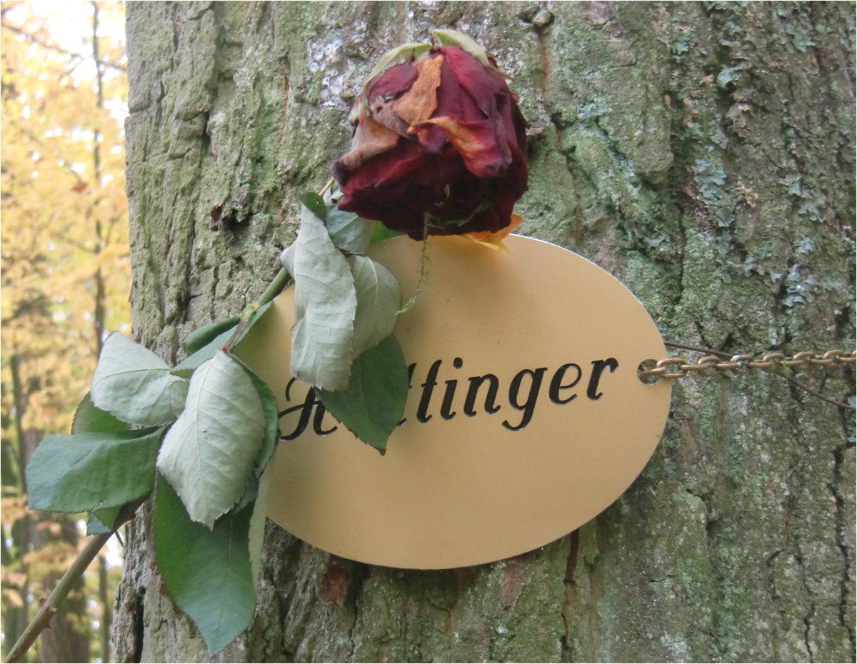 Friedhöfe - der Waldfriedhof in Würzburg (1)